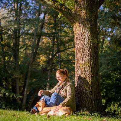 Hundeschulen-AlohaDogs-Bild
