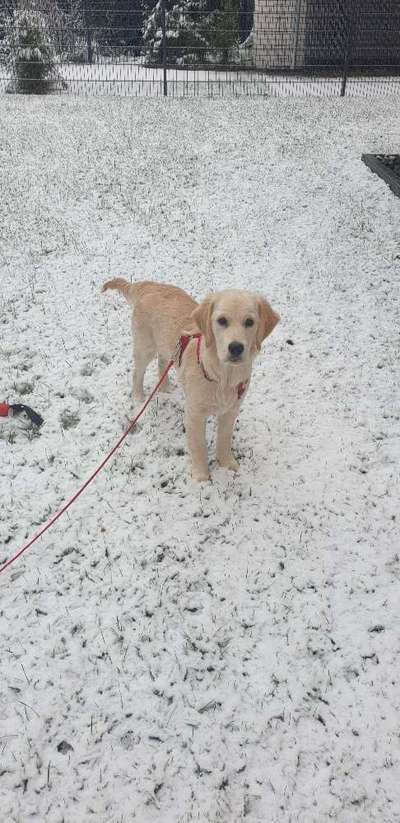 Doppelgänger gesucht !-Beitrag-Bild