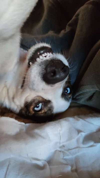 Fotochallange Nr. 57     PORTRÄT.   Beendet!!!!!!!!-Beitrag-Bild