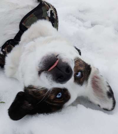 Fotochallange Nr. 57     PORTRÄT.   Beendet!!!!!!!!-Beitrag-Bild