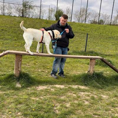 Dominic's Profilbild