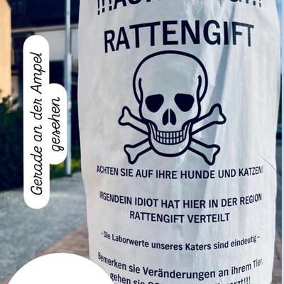 Giftköder-Rattengift-Bild