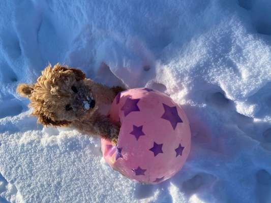 Dogorama Photo Challenge - Es wird nochmal kalt!-Beitrag-Bild