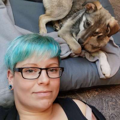 Hundetreffen-Gassi am Petersberg-Profilbild