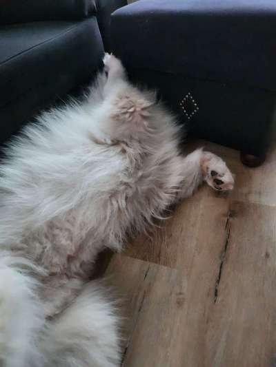 Foto Challenge - Zeigt her eure Bäuche-Beitrag-Bild