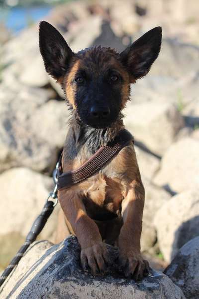 Eure schönsten Fotos mit Wasser-Beitrag-Bild