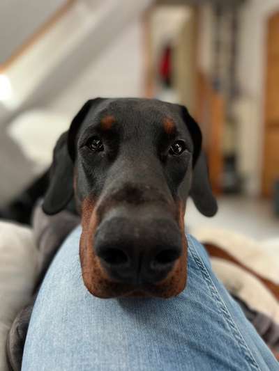 Fotochallange Nr. 57     PORTRÄT.   Beendet!!!!!!!!-Beitrag-Bild