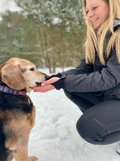 Lieblingsbild-Beitrag-Bild