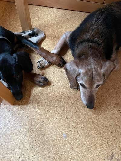 Lieblingsbild-Beitrag-Bild