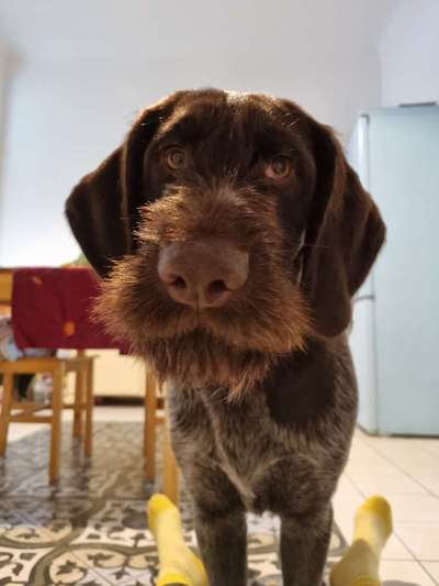 Fotochallange Nr. 57     PORTRÄT.   Beendet!!!!!!!!-Beitrag-Bild