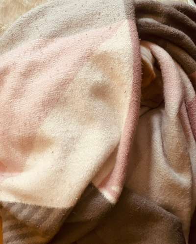 143. Fotochallenge: Ja, wo isser denn?-Beitrag-Bild