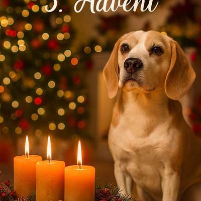 aktuelles Foto Gruppe Beagle