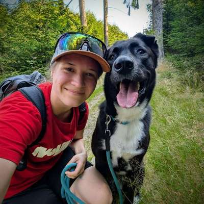 Hundetreffen-Treffen in Viechtach/Bad Kötzting/Regen/Cham oder Umgebung