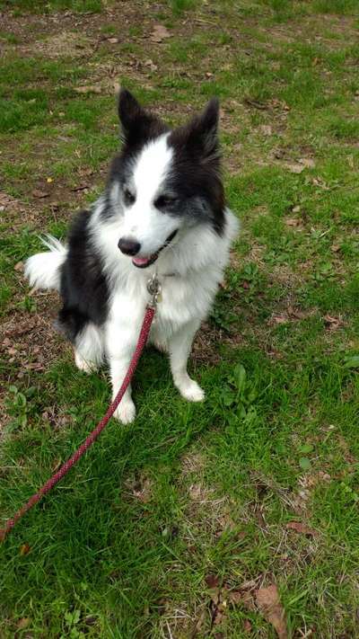 Farben Fotochallenge Thema ,,Grün"-Beitrag-Bild