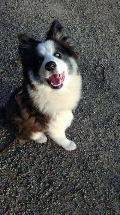 28. Handy-Fotochallenge - Damals und heute-Beitrag-Bild