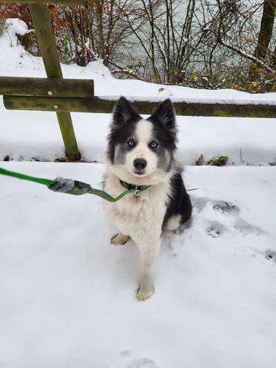 28. Handy-Fotochallenge - Damals und heute-Beitrag-Bild