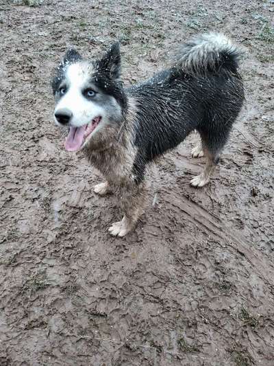 Fotochallenge 128-Beitrag-Bild