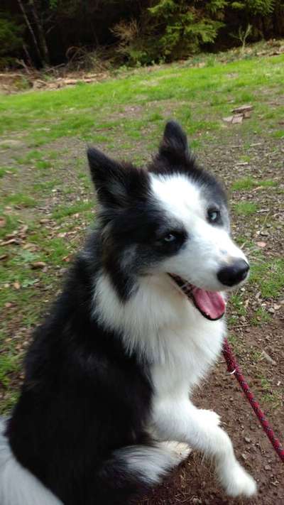 Zeigt eure Portraits-Beitrag-Bild