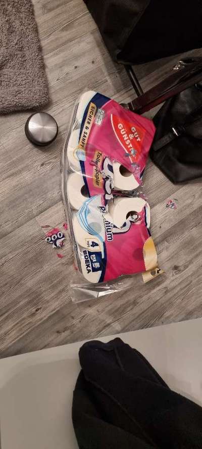 Zeig mir, dass du mit einem hund zusammenlebst....-Beitrag-Bild