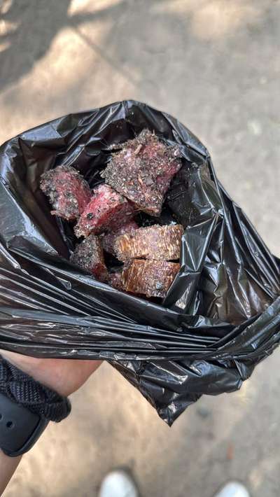 Giftköder-Giftköder (Vermutung)-Bild
