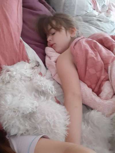 Zeigt mir die lustigsten Schlafpositionen eurer Fellnasen-Beitrag-Bild