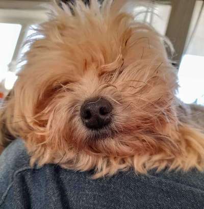 Moviestar-Pics!-Beitrag-Bild