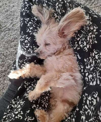 Theos  Fotochallenge Nummer 2-Beitrag-Bild