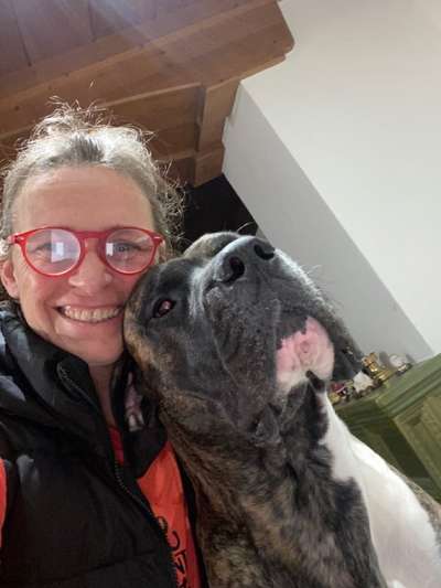 Dogorama Photo Challenge - Hundeblick zum hinschmelzen-Beitrag-Bild