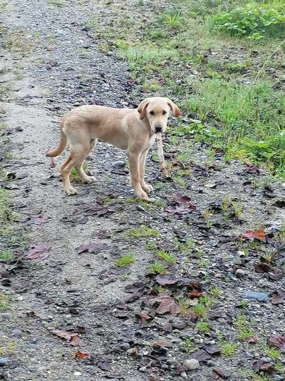 Lieblingsbild :D-Beitrag-Bild