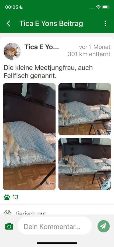 Cesar Milan - Pro und Contra-Beitrag-Bild