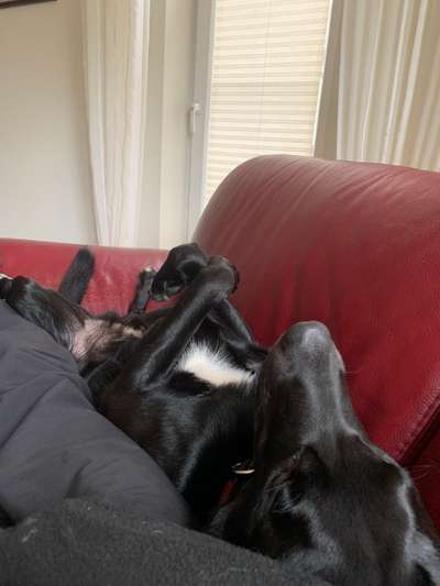 15. Handyfoto Challenge - Indoor Aktivitäten-Beitrag-Bild