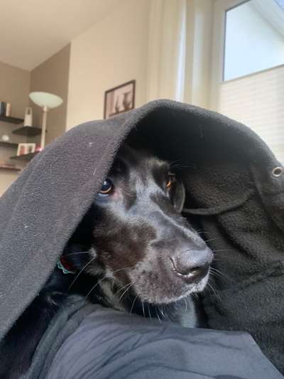 143. Fotochallenge: Ja, wo isser denn?-Beitrag-Bild