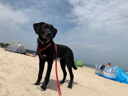 Eure Strandbilder :)-Beitrag-Bild