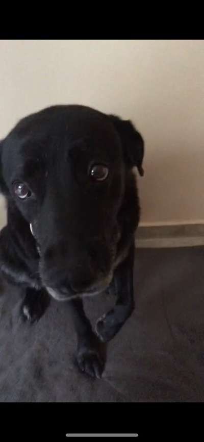 147. Foto Challenge: Bettelblick-Beitrag-Bild