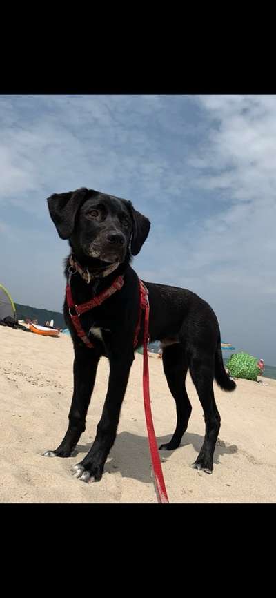 Fotochallenge 37- Sommerfeeling-Beitrag-Bild