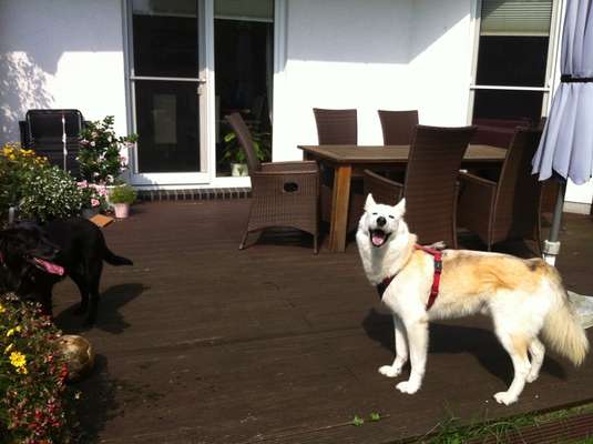 Das beste grinsefoto-Beitrag-Bild