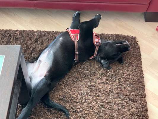 Fotochallenge Nr.65-Beitrag-Bild