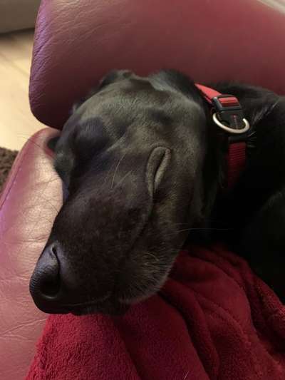 Das beste grinsefoto-Beitrag-Bild