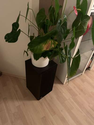 Tipps für die ersten Wochen-Beitrag-Bild