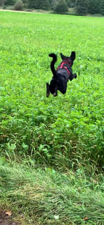 Fotochallenge Nr. 52 „Spring!“-Beitrag-Bild