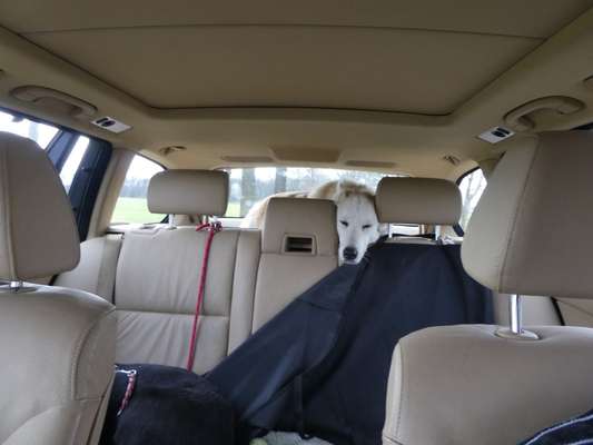 143. Fotochallenge: Ja, wo isser denn?-Beitrag-Bild