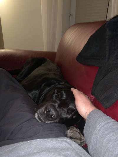 Erhöhter Kuschelbedarf im Winter?-Beitrag-Bild