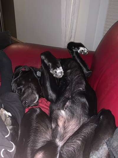 Erhöhter Kuschelbedarf im Winter?-Beitrag-Bild