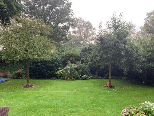 Vergiftung gedroht-Beitrag-Bild