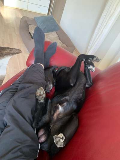 Erhöhter Kuschelbedarf im Winter?-Beitrag-Bild