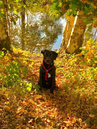 4. Farben/Fotochallenge:          Bunt und Farbenfroh-Beitrag-Bild