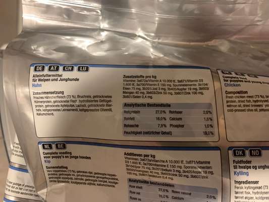 gutes Futter für Junghunde-Beitrag-Bild