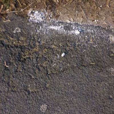 Giftköder-VORSICHT!!!...Erneut Rattengift!!!-Bild