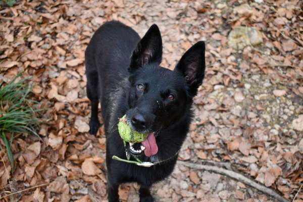 Handyfoto challenge Nr. 13: Waschlappen raus!-Beitrag-Bild