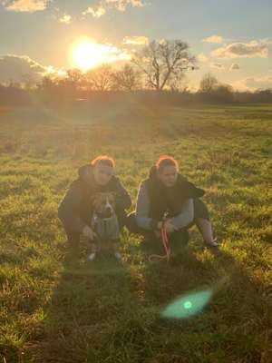 Hundetreffen-Wir suchen Spielfreunde für meine kleine Maus-Bild